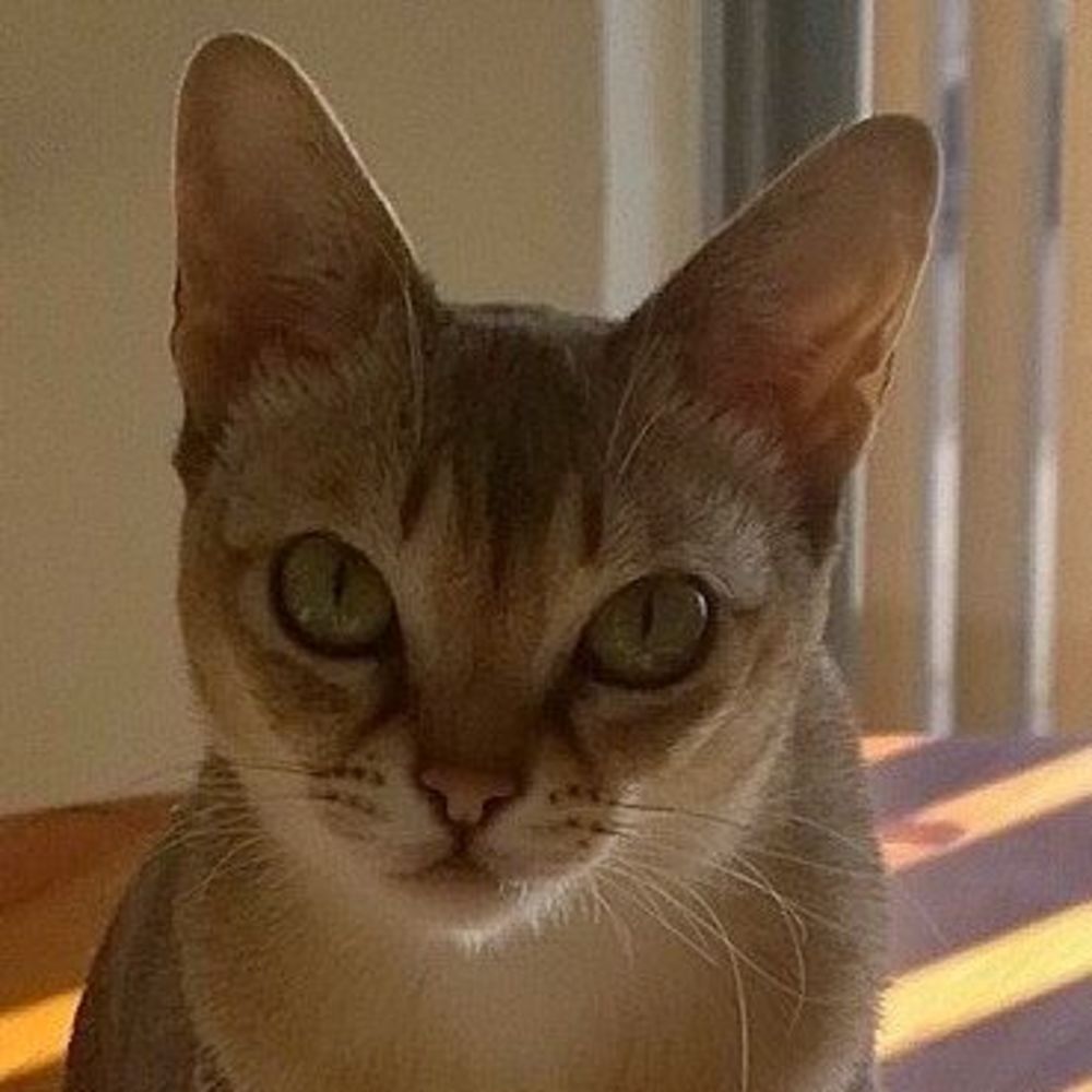 Meet your Posher, Jason